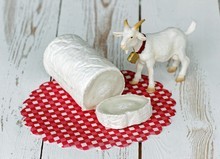 Quiz-fromage-de-chevre