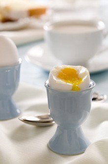 Quiz-oeuf