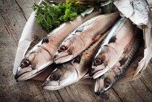 Quiz-poisson