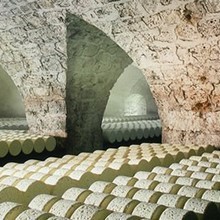 Quiz-roquefort