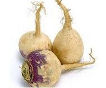 Rutabaga